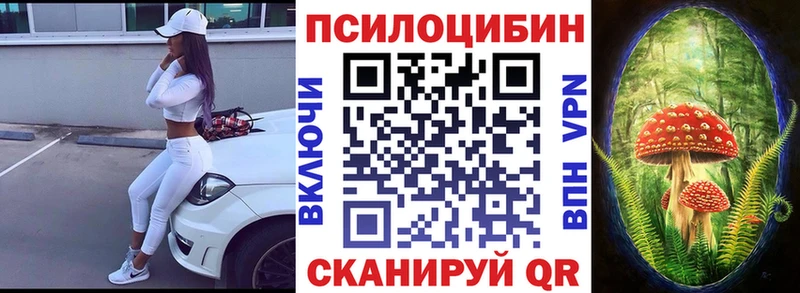 Купить где  Малаховка  Псилоцибиновые грибы Psilocybine cubensis 